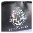 Harry Potter neszesszer