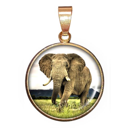 elefánt-medál-lánccal-vagy-választható-karkötőre-fülbevalóra