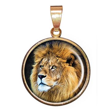 oroszlán-medál-lánccal-karkötővel-vagy-fülbevalóval