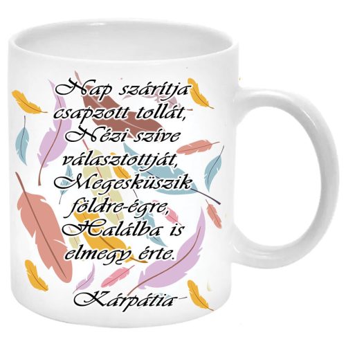 Nap-szárítja-csapzott-tollát-Bögre-feliratozható