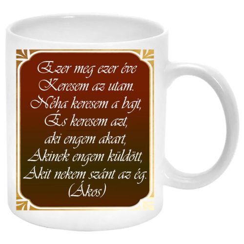 Ezer-meg-ezer-éve-keresem-az-utam-Bögre-feliratozható