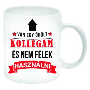 Van-egy-őrült-Kollégám-és-nem-félek...-Bögre-feliratozható