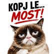 Kopj le most morcos macskaarc Bögre 