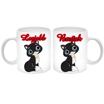 best-friends-cicás-páros-bögre-feliratozható