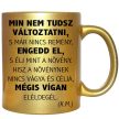min-nem-tudsz-változtatni-feliratú-bögre-változtatható-felirattal