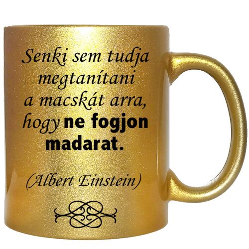 senki-sem-tudja-megtanítani-a-macskát-feliratú-bögre-változtatható-felirattal