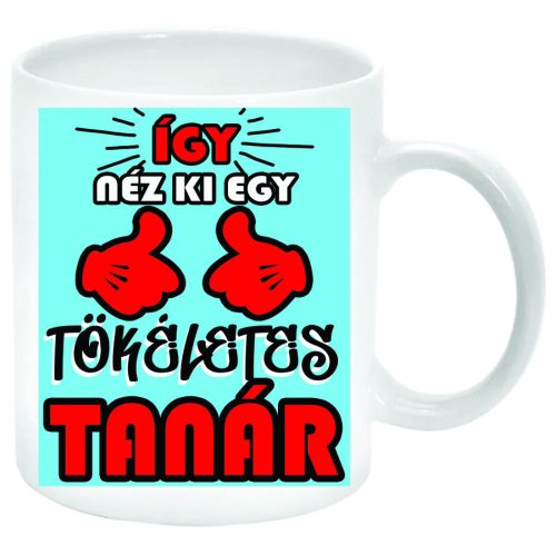 Így-néz-ki-egy-tökéletes-tanár-Bögre-feliratozható