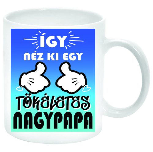 Így-néz-ki-egy-tökéletes-apa-Bögre-feliratozható