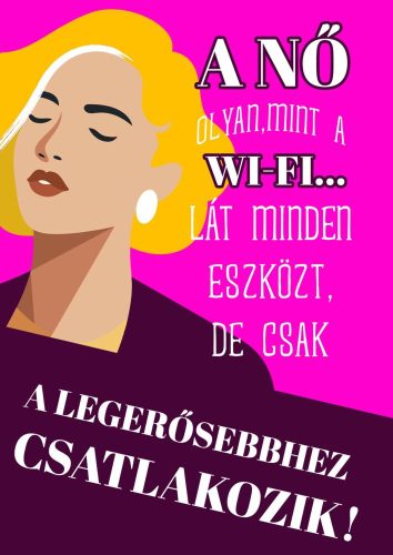Puzzle-a nők-olyanok-mint-a-wifi-grafikával
