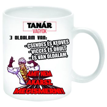 Tanár-vagyok-három-oldalam-van-Bögre-feliratozható