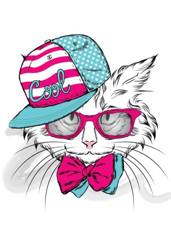 Puzzle-cool-cat