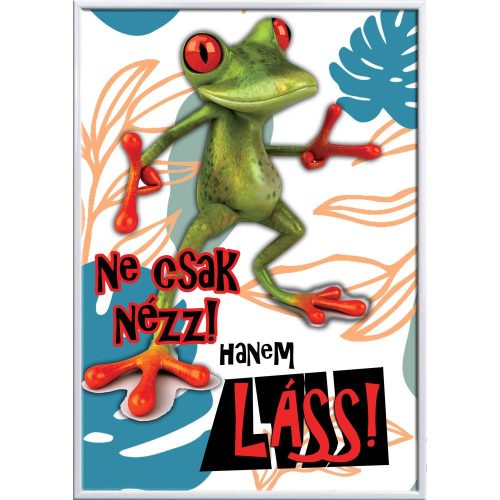 Falikép-ne-csak-nézz
