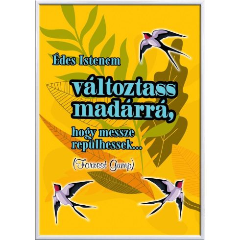 Falikép-változtass-madárrá