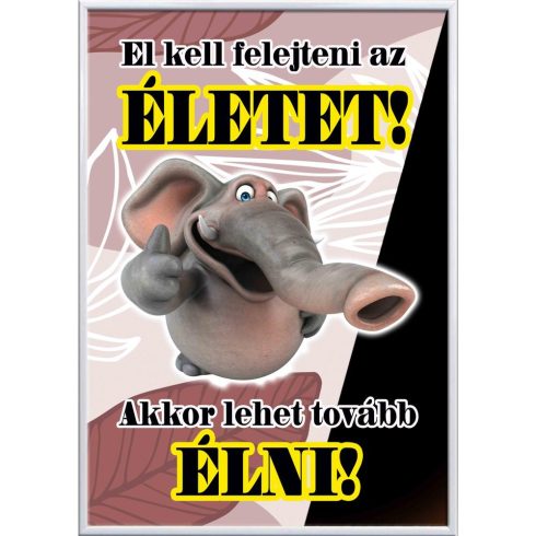 Falikép-El-kell-felejteni-az-életet