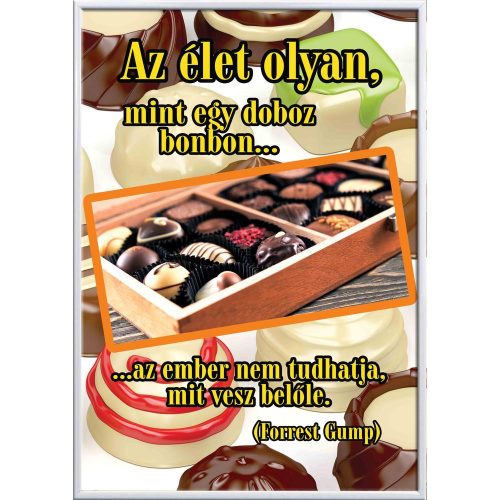 Falikép-az-élet-olyan-mint-egy-doboz-bonbon