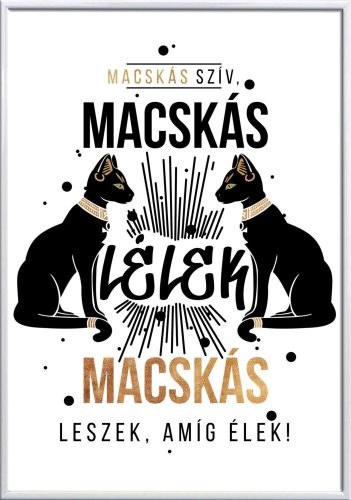 Falikép-macskás-szív-és-macskás-lélek-módosítható-felirattal