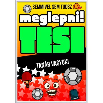 Falikép-semmivel-sem-tudsz-meglepni-tesi-tanár-vagyok-változtatható-felirattal