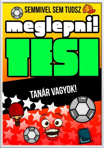 Falikép-semmivel-sem-tudsz-meglepni-tesi-tanár-vagyok-változtatható-felirattal