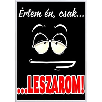 Falikép-értem-én-csak-leszarom-változtatható-felirattal