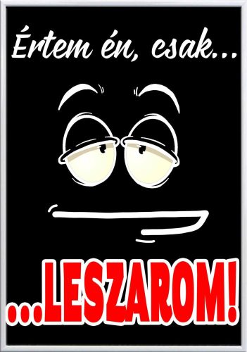 Falikép-értem-én-csak-leszarom-változtatható-felirattal