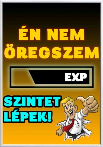 Falikép--én-nem-öregszem-szintet-lépek-változtatható-felirattal