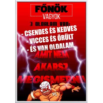 Falikép-főnök-vagyok-három-oldalam-van-változtatható-felirattal