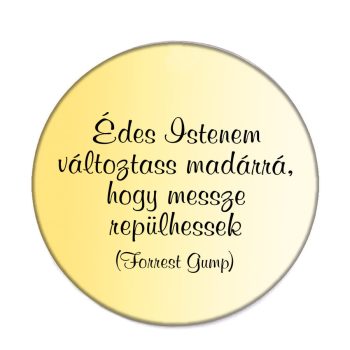 változtass-madárrá-acél-kitűző