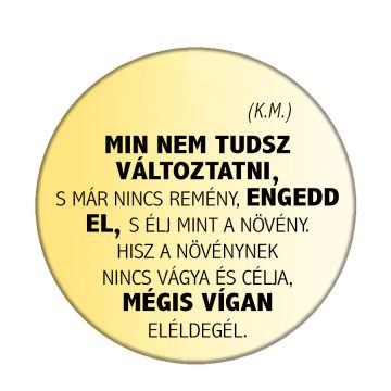 min-nem-tudsz-változtatni-acél-kitűző