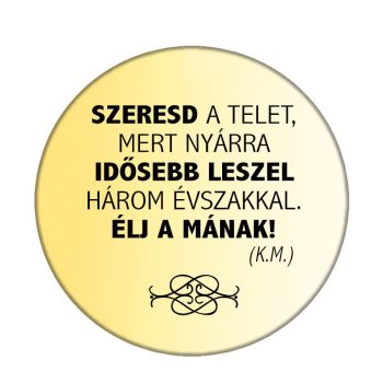 szeresd-a-telet-acél-kitűző