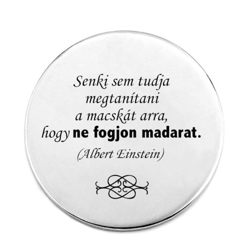 megtanítani-a-macskát-kitűző