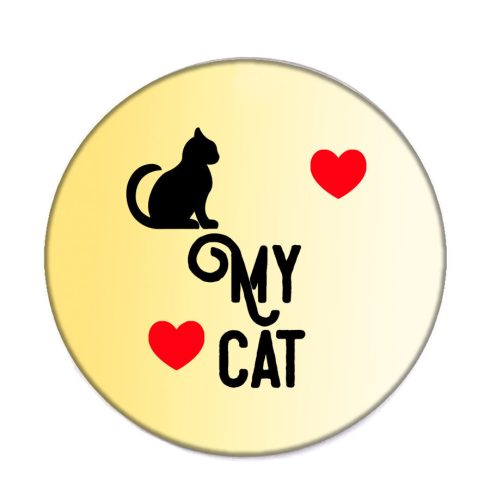 love-my-cat-acél-kitűző