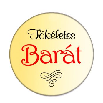 tökéletes-barát-acél-kitűző