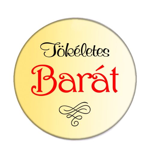 tökéletes-barát-acél-kitűző