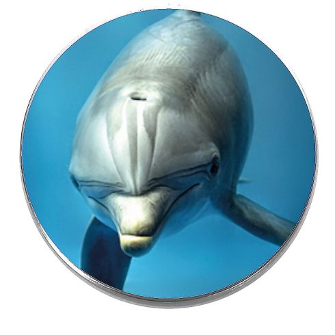 Acél-delfin-kitűző