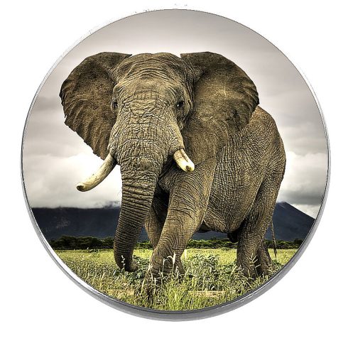Acél-elefántos-kitűző