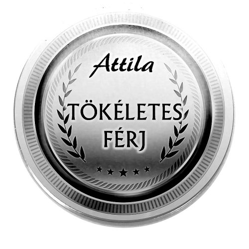 Acél-tökéletes-férj-kitűző