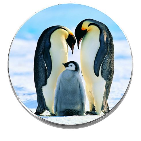 Acél-pingvincsalád-kitűző