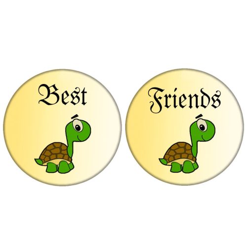 teknősös-páros-best-friends-acél-kitűző