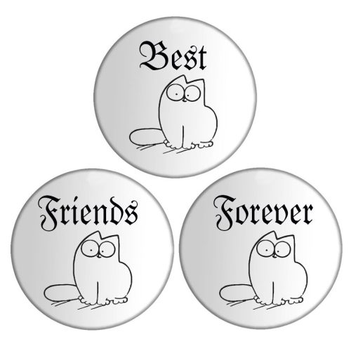Simoncat-best-friends-forever-hármas-kitűző