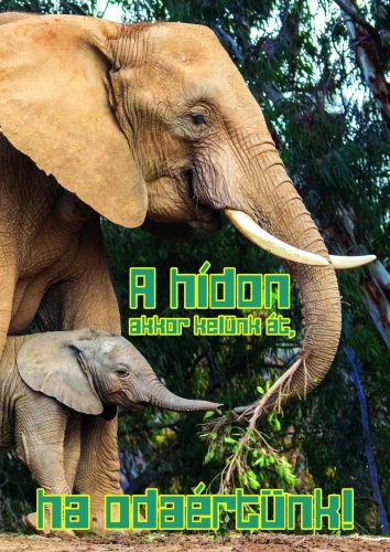 Puzzle-a-hídon-akkor-kelünk-át-ha-odaértünk